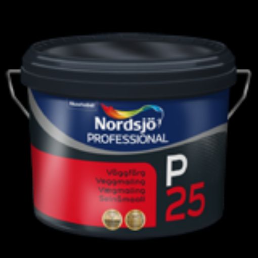 Bilde av PRO P25 S0500-N/LYS RÅHVID ,  10L