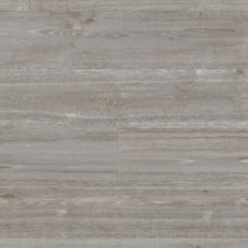 Bilde av SILENTFLOR 9951 SILVE OAK