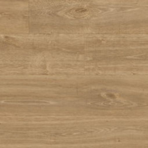 Bilde av SILENTFLOR 9957 ENGLI OAK